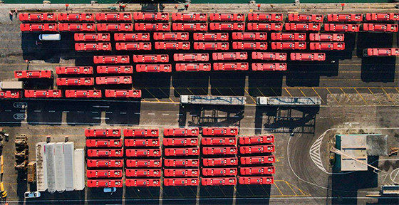 buses