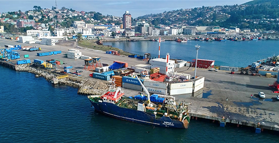 web_talcahuano